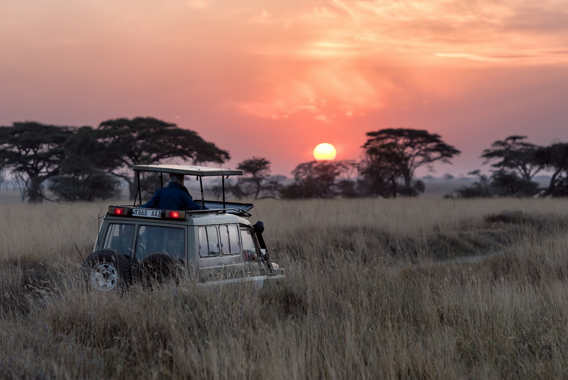 Cratère Ngorongoro